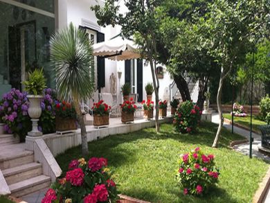 Great gardens outside the house