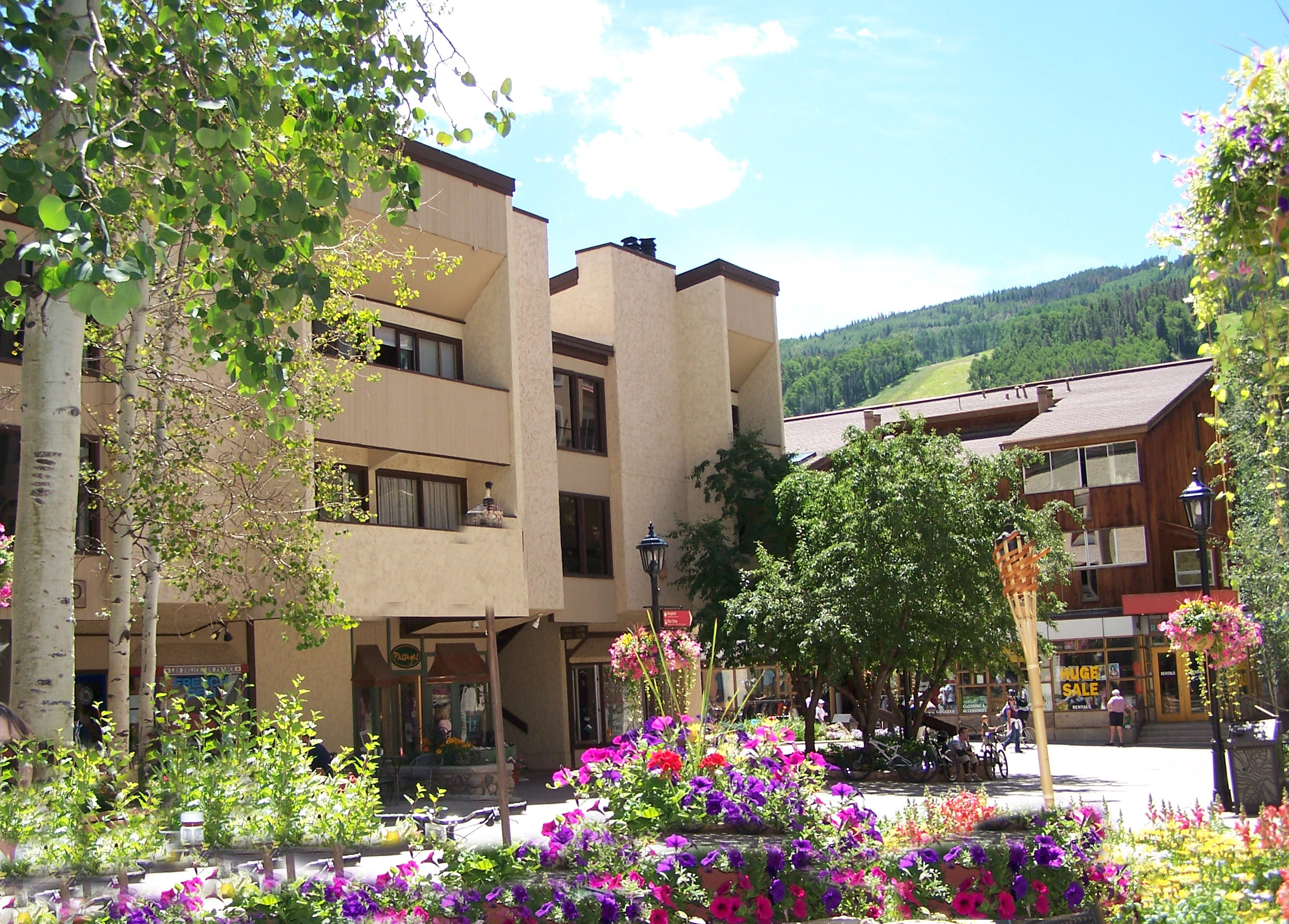 Lionshead Two Bedroom Rental Available Now for Ski Season