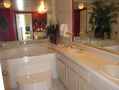 Master bathroom with dual vanity & tub Master bathroom with dual vanity & tub