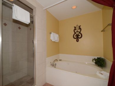 Master bathroom with jacuzzi tub