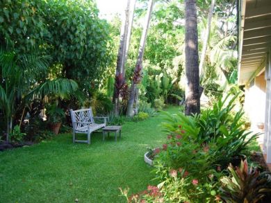 Tropical garden
