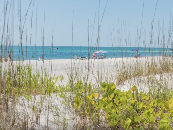 Three Bedroom Anna Maria Vacation Rental Home Private Pool
