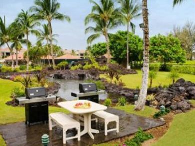 Grill area with tropical pond Grill area with tropical pond