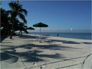 Sandy beach Sandy beach