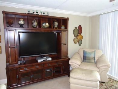 Flat Screen TV in Living Area