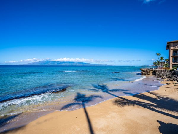 Beautiful Beachfront 3 Bedroom Condo
