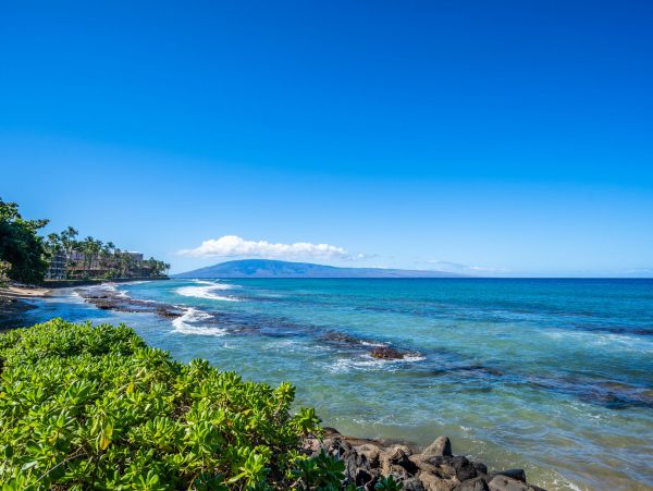 Beautiful Beachfront 3 Bedroom Condo