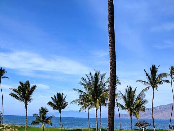 Breathtaking Views Kihei Condo with all the Comforts of Home