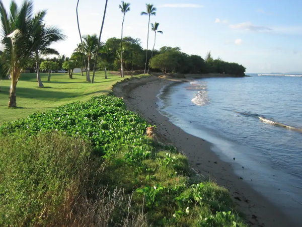 Breathtaking Views Kihei Condo with all the Comforts of Home
