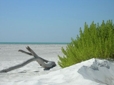 Beach front rental condo in Longboat Key, Florida