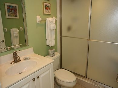 Guest bathroom with walk-in shower