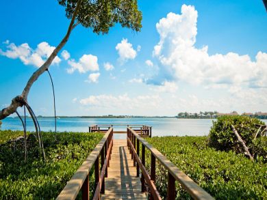 Beach Access