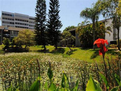 Lush gardens