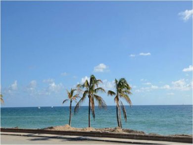 Ocean view