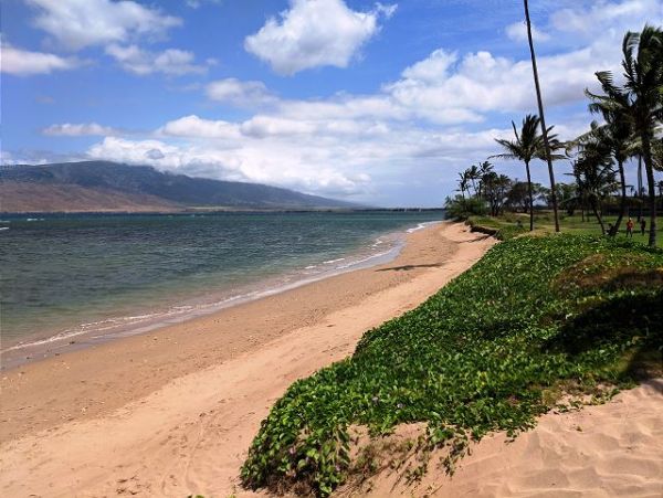 MAUI 2 BEDROOM 2 BATH CONDO
