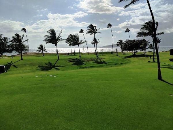 MAUI 2 BEDROOM 2 BATH CONDO