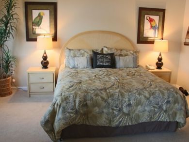 Master bedroom with king bed