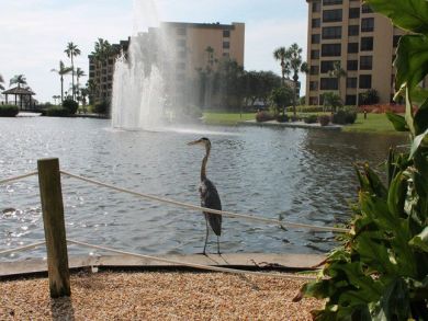 Fountain at the lagoon
