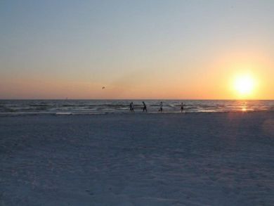Siesta Key Condo 881413