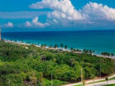 Ocean view Ocean view
