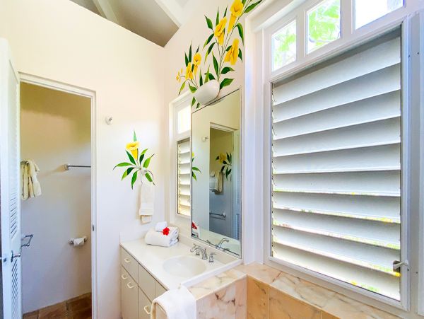 Oceanview Two Bedroom Rental Home in St. Croix