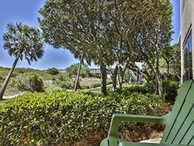 View from porch