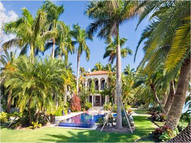 Tropical garden