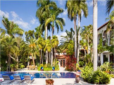 Poolside sun loungers surrounded with tropical foliage