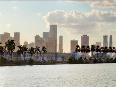 View of the Miami skyline