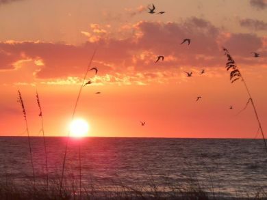 Anna Maria Island Value Rental Property Bradenton Beach
