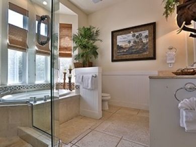 Master bathroom with jacuzzi tub & walk-in shower