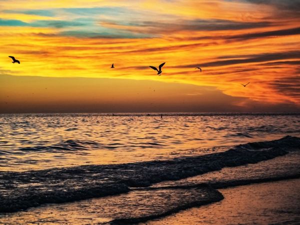 Siesta Key Beautiful Three Bedroom Vacation Penthouse