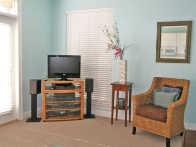 Flat Screen TV in Living Room