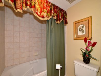 Master bathroom with shower in tub Master bathroom with shower in tub