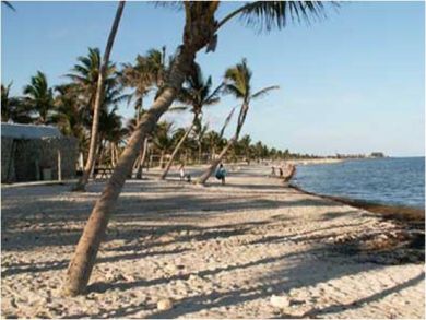 Sandy beach