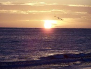 Amazing sunsets