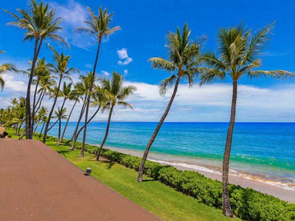 Lahaina Vacation Rental Beach Condo Full Ocean View Sleeps 8