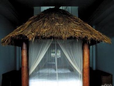 Luxurious coconut canopy bed Luxurious coconut canopy bed