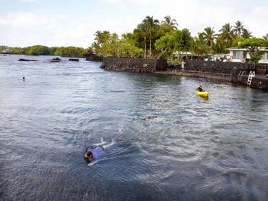 Swimm, snorkel, fish, out in the bay