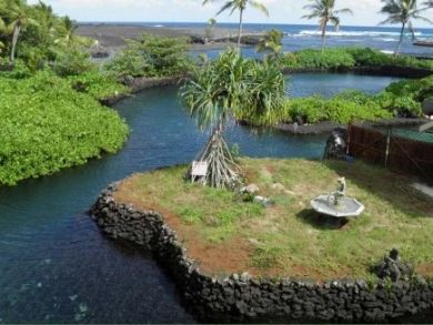 Tropical pond