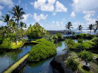 Ponds & ocean view from deck