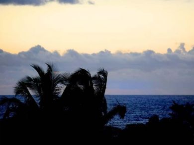 View of lush tropical plants, warm ponds & ocean