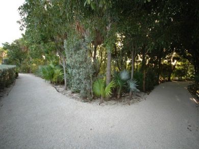 Walking paths