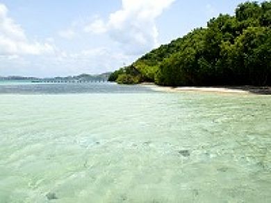 Vacation bungalows in Le Robert, Martinique