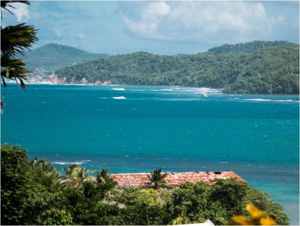 Martinique Luxury Vacation Pool Villa Walk to Beach Sleeps 8