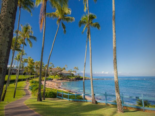 Luxury Kapalua 2 Bedroom Villa Ocean Views