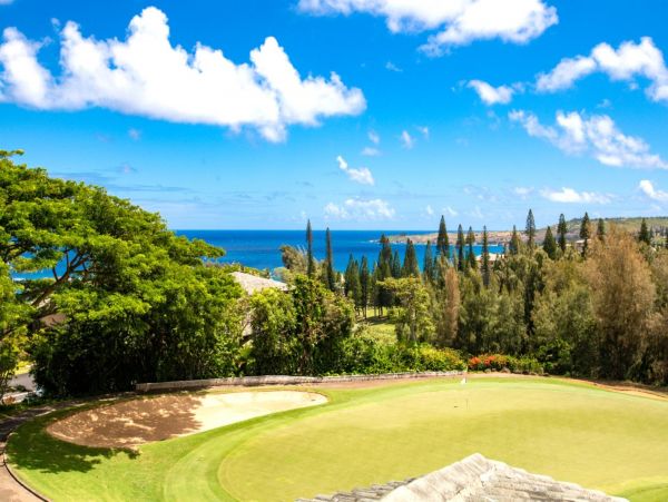 Luxury Kapalua 2 Bedroom Villa Ocean Views