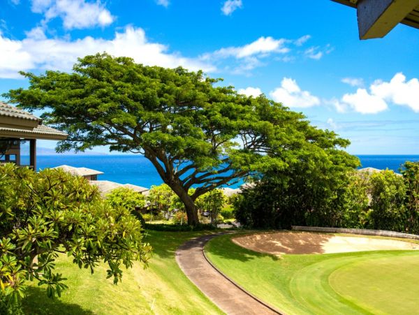 Luxury Kapalua 2 Bedroom Villa Ocean Views