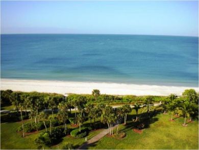 Amazing gulf view
