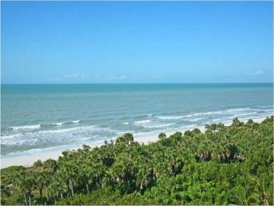 Gulf view
